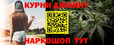 гидра Краснодар
