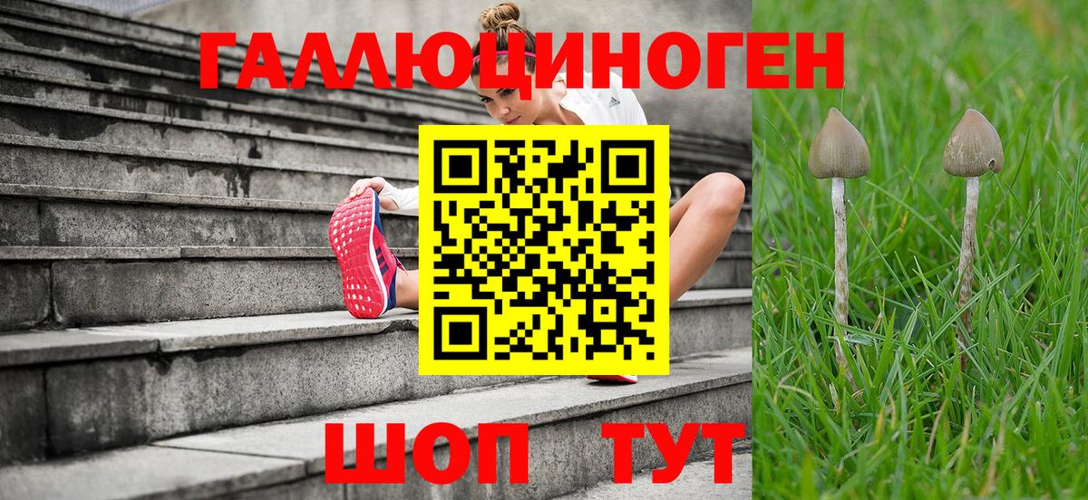 Псилоцибиновые грибы MAGIC MUSHROOMS Фролово